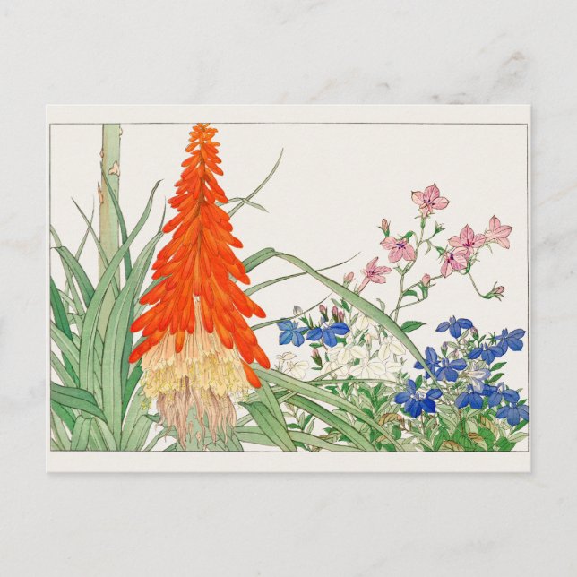 Torch lily, Lobelia av Tanigami Konan Vykort (Framsida)
