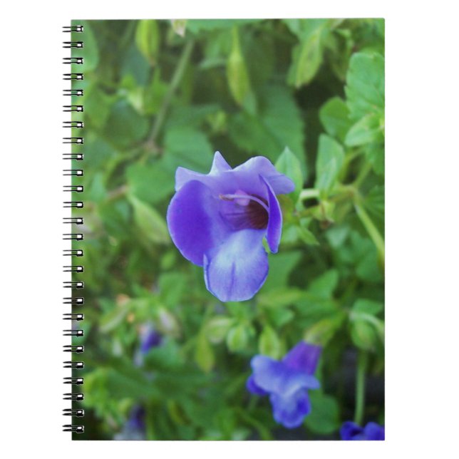 Torenia Anteckningsbok Med Spiral (Framsidan)