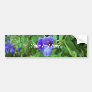 Torenia Bildekal
