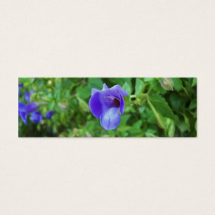 Torenia Bookmark Litet Visitkort