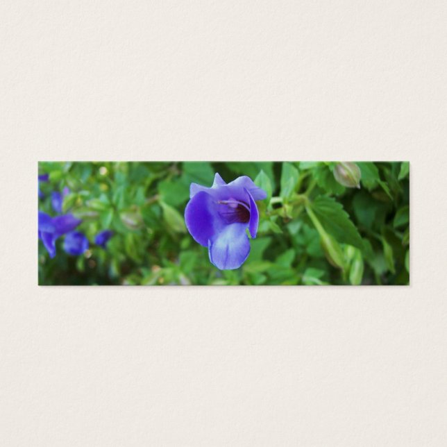 Torenia Bookmark Litet Visitkort (Framsidan)