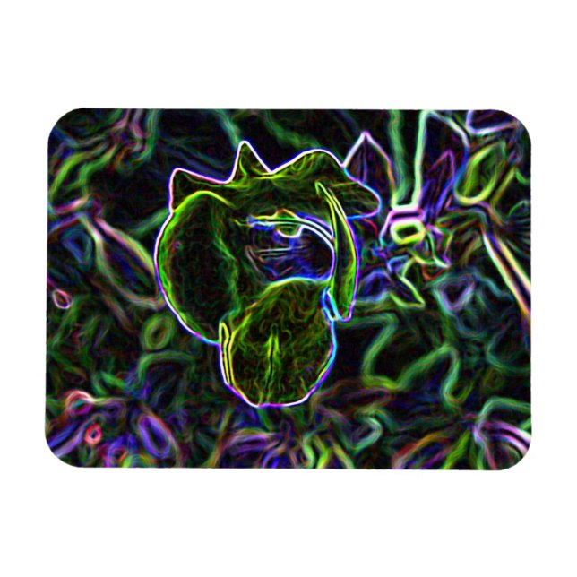 Torenia Edited Magnet (Horisontell)