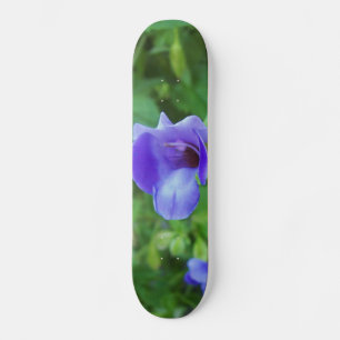 Torenia Mini Skateboard Bräda 18,7 Cm