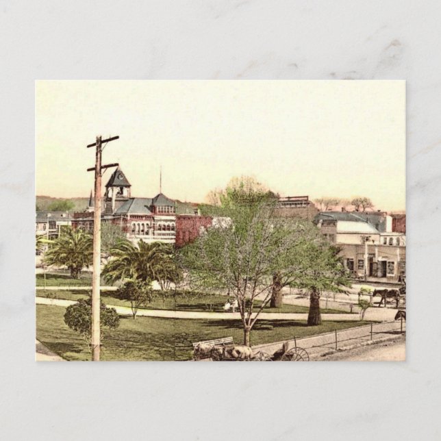Torget i Healdsburg CA Vykort (Framsida)