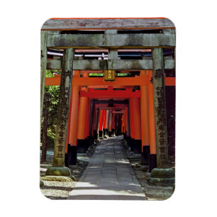 Torii grind - Kyoto, Japan, Asien Magnet