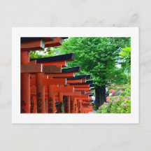 Torii-portar, Nezu Shrine: Tokyo, Japan Postkort