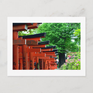 Torii-portar, Nezu Shrine: Tokyo, Japan Postkort Vykort