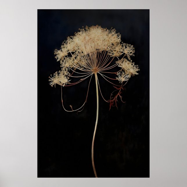 Torkad Drottningblomma Mörk Akademi, Mörk Poster (Framsidan)