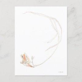 Torkad freesia 1 vykort