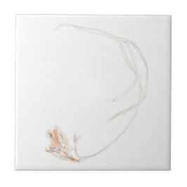 Torkad fresia 1 kakelplatta