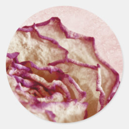 Torkad Rosa ros Runt Klistermärke