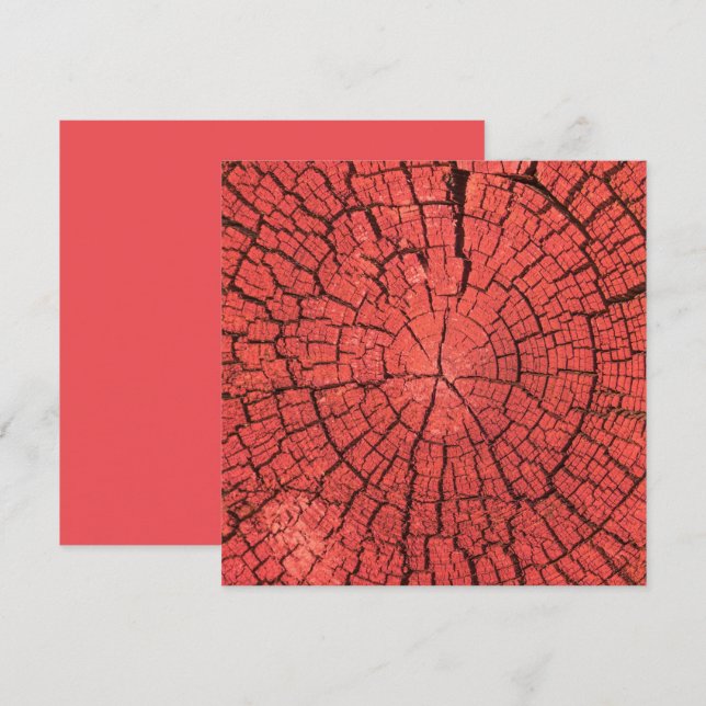 Torkad Trädstock Utsnitt Rosa Röd Trä Foto Kort (Fram/baksida)