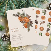 Torkade citrus Cinnamon Bröllop i vinterskivor av