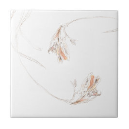 Torkade fresier 1 kakelplatta