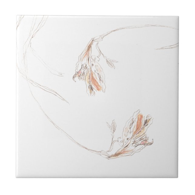 Torkade fresier 1 kakelplatta (Framsidan)