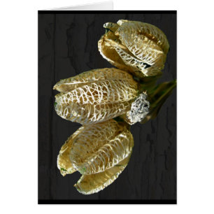 Torkade Lily Seed-Poder Hälsningskort