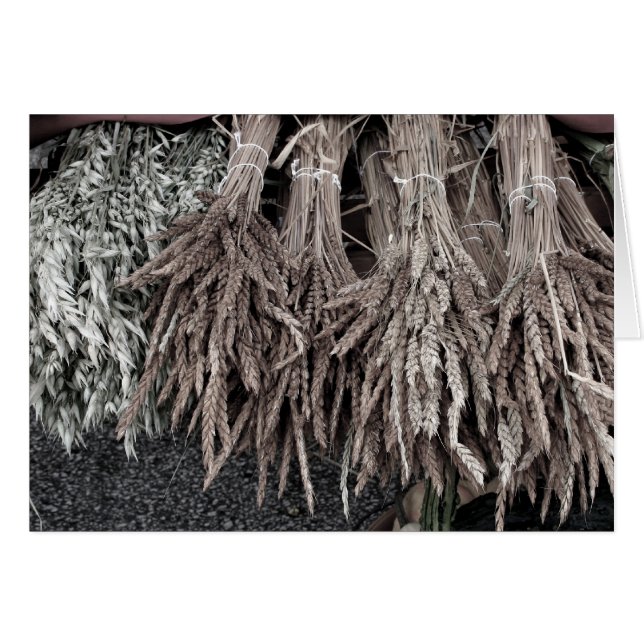 Torkade plantor för dekoration hälsningskort (Framsidan Horizontal)