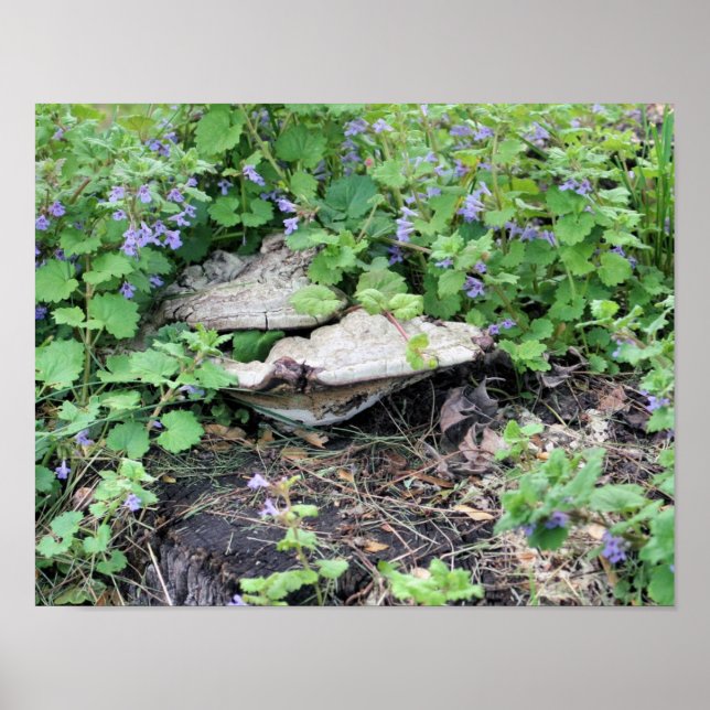 Torkade svampar och blommor i Träd Poster (Framsidan)