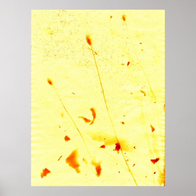 Torkade vallmo och frön - soltryck Poster (Framsidan)