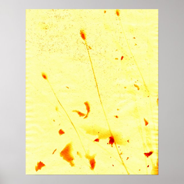 Torkade vallmostjälkar och frön Poster för solljus (Framsidan)