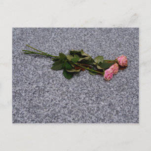 torkande rosa rosor vykort