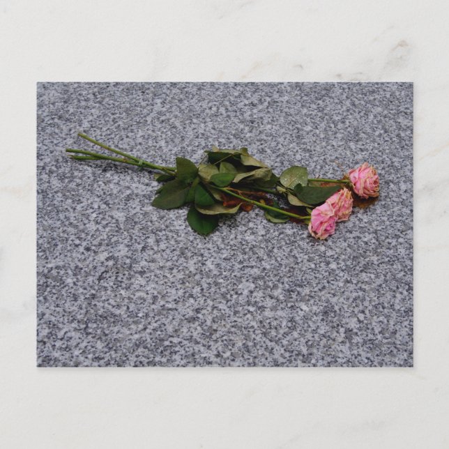 torkande rosa rosor vykort (Framsida)