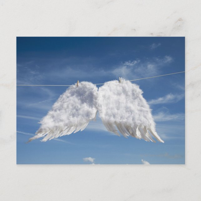 Torkängelns vingar. vykort (Framsida)