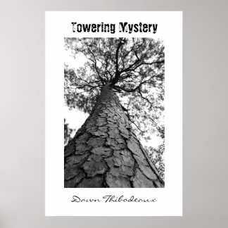 Torkmysterium Poster