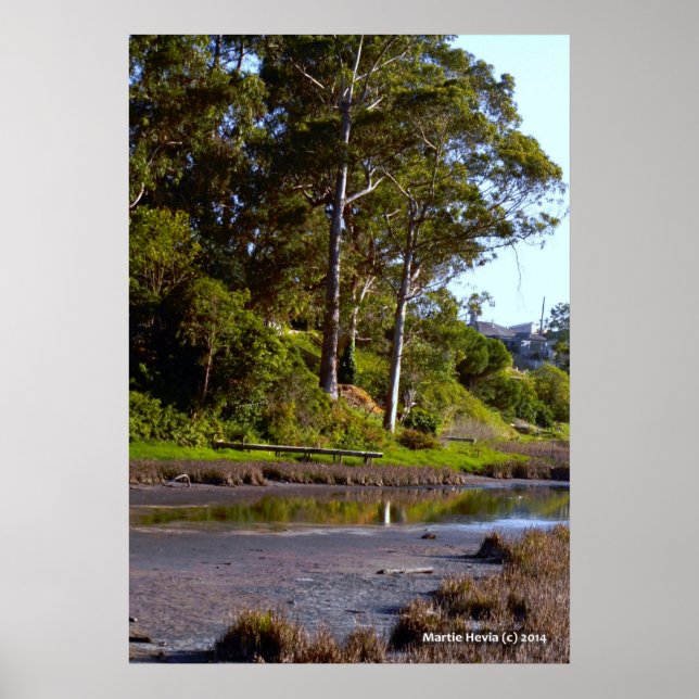 Torkning Sjö Poster (Framsidan)