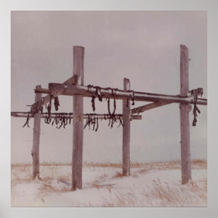 Torkregnet i Arktis Kött, gammal pt. Ljugit byfoto Poster