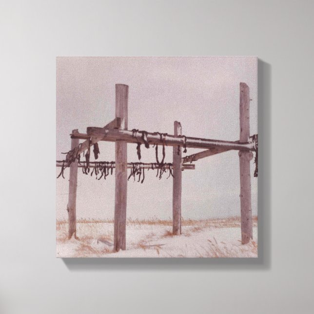 Torksäcken Pt i Arktiska Västindien Kött. Ljugit b Canvastryck (Framsida)