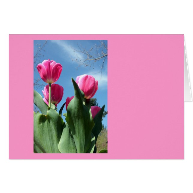 Torktumlare Hälsningskort (Framsidan Horizontal)