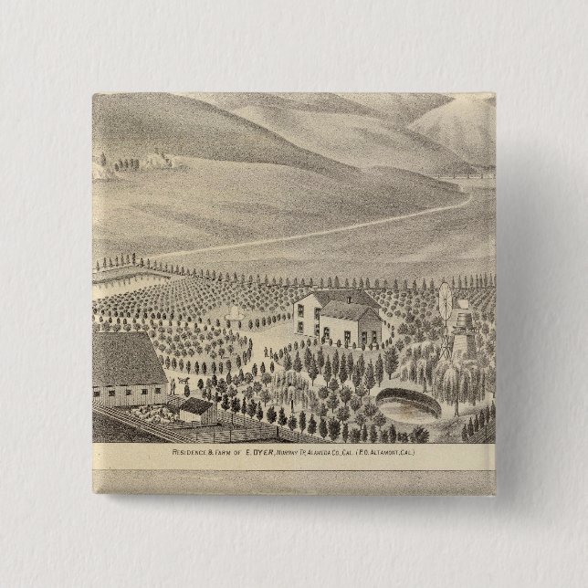 Torktumlare, Hupers egendom Knapp (Framsida)