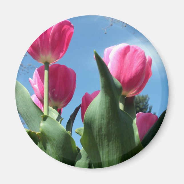 Torktumlare Magnet (Framsidan)