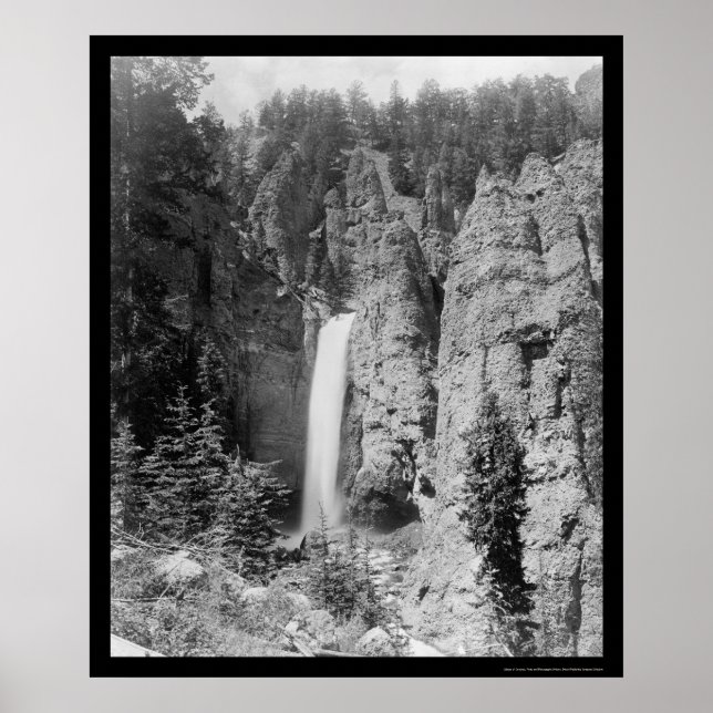 Torn Falls Yellowstone 1899 Poster (Framsidan)