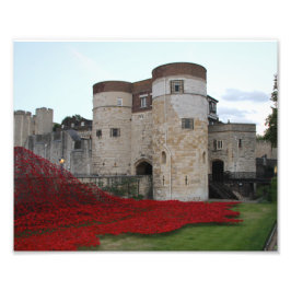 Torn i London med Bright Red Poppies Fototryck