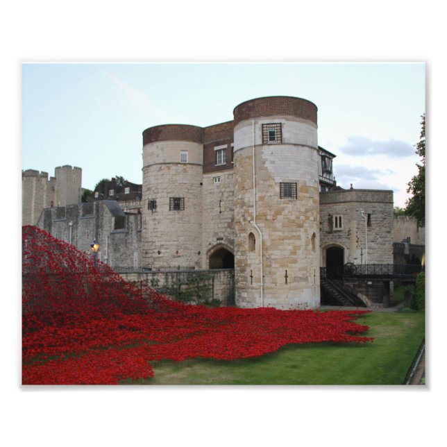 Torn i London med Bright Red Poppies Fototryck (Framsidan)