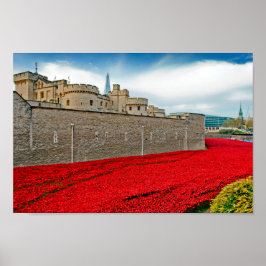 Torn i London Poppies Red Poppy Poster