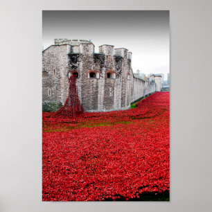 Torn i London Poppies Red Poppy Poster