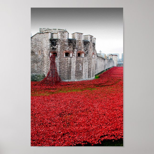 Torn i London Poppies Red Poppy Poster (Framsidan)