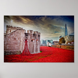 Torn i London Poppies Red Poppy Poster