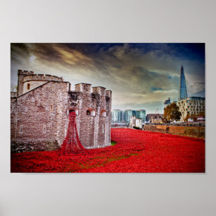 Torn i London Poppies Red Poppy Poster