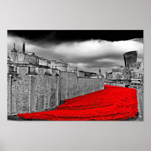 Torn i London Poppies Red Poppy Poster