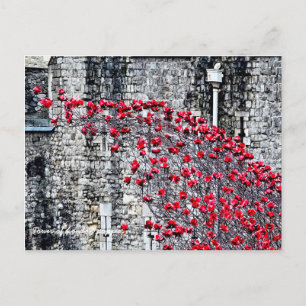 Torn i London Poppies Vykort