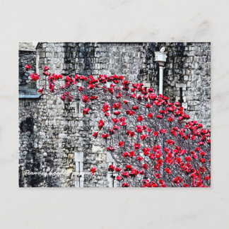 Torn i London Poppies Vykort