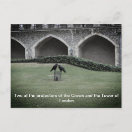 Torn i London Ravens Vykort