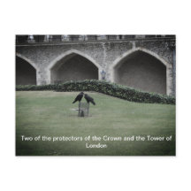 Torn i London Ravens