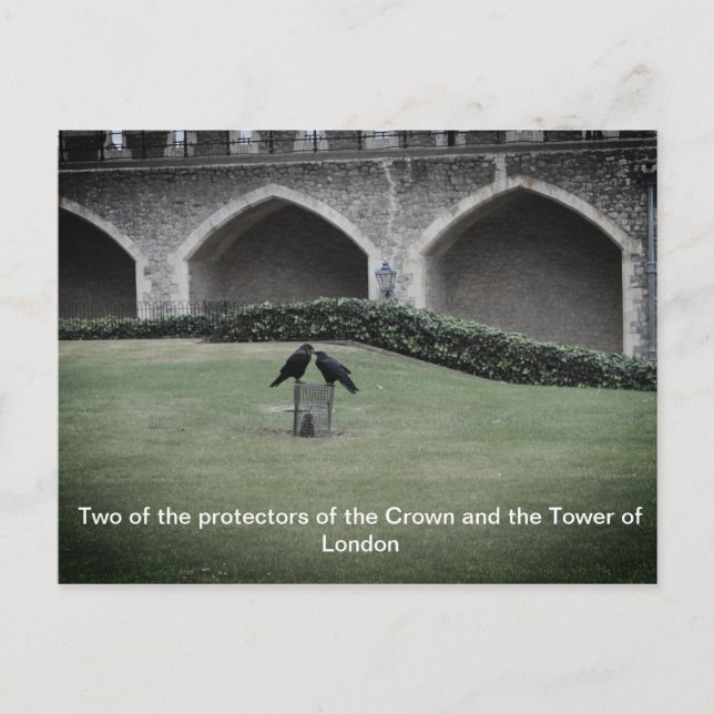 Torn i London Ravens Vykort (Framsida)