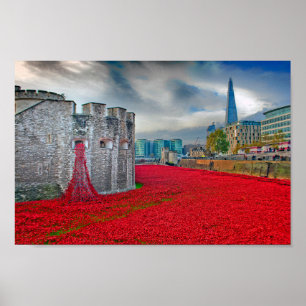 Torn i London Red Poppies England UK Poster