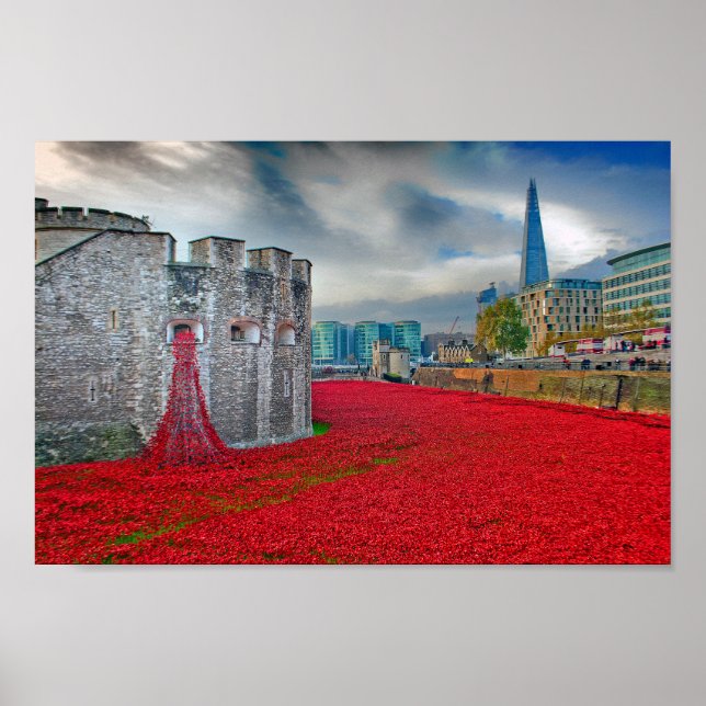 Torn i London Red Poppies England UK Poster (Framsidan)